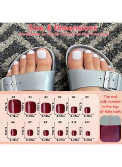 LifexTol 576Pc Press On Toenails For Women Toe Press On Nails Short Fake Toe Nails Press Ons With Nail Adhesive Tabs, Acrylic Toe Nail Tips False Toenail Press Ons Artifitial Fake Toenails  - Image 5