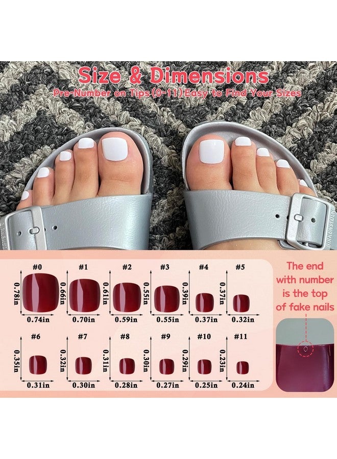 لايفيكس تول 576 قطعة أظافر صناعية قصيرة مع أطراف لاصقة للأظافر، أظافر صناعية صناعية بأصابع القدم مكونة من 576 قطعة أظافر صناعية قصيرة مع أطراف لاصقة للأظافر، أظافر صناعية بأصابع القدم مكونة من 576 قطعة - Image 5