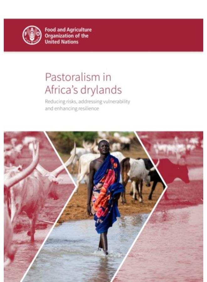 Pastoralism in Africa's drylands : reducing risks, addressing vulnerability and enhancing resilience 