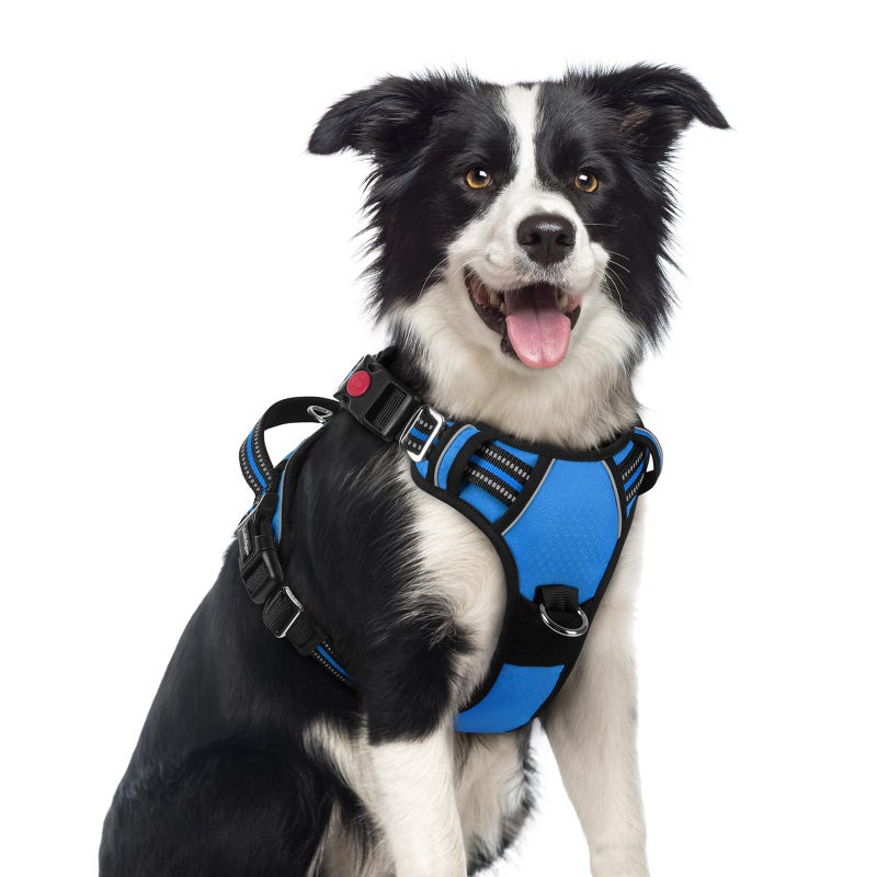rabbitgoo Dog Harness Medium Sized, No Pull Dog Vest with 3 Buckles, Adjustable Soft Padded Pet Harness with Easy Control Handle and Reflective Strips, Blue, M - Image 1