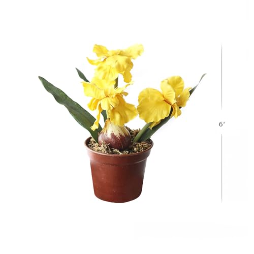 Riverbyland 6" Artificial Orchid Flower Imitation Small Potted Plants - Image 2