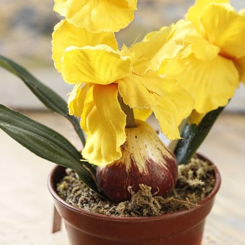 Riverbyland 6" Artificial Orchid Flower Imitation Small Potted Plants - Image 3