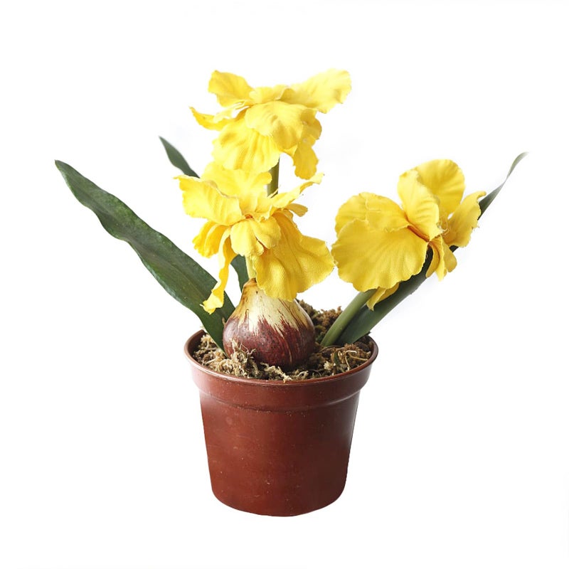 Riverbyland 6" Artificial Orchid Flower Imitation Small Potted Plants - Image 5