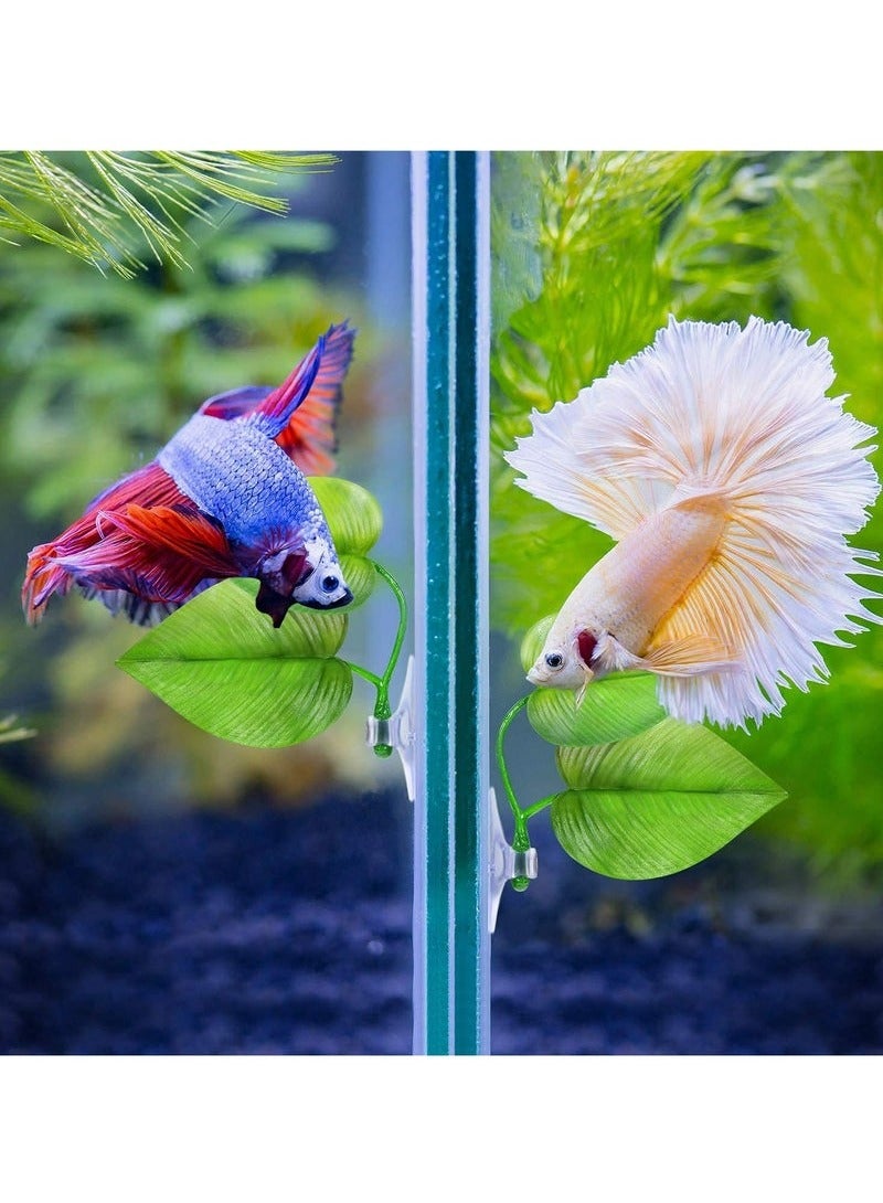 أخبار أرجوحة من 4 قطع من أوراق الشجر لسرير بيتا لأسماك البيتا، خفيفة الوزن وواقعية، وسادة أوراق السمك، ملحقات سرير أوراق الشجر الاصطناعية المزخرفة لحوض السمك، ديكور حوض السمك (ورقة مزدوجة) - Image 2