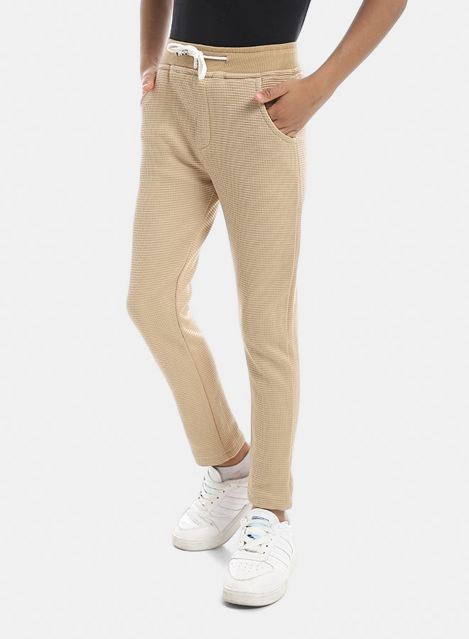 Andora Self Patterened Beige Elastic Waist Casual Pants-Beige - Image 2