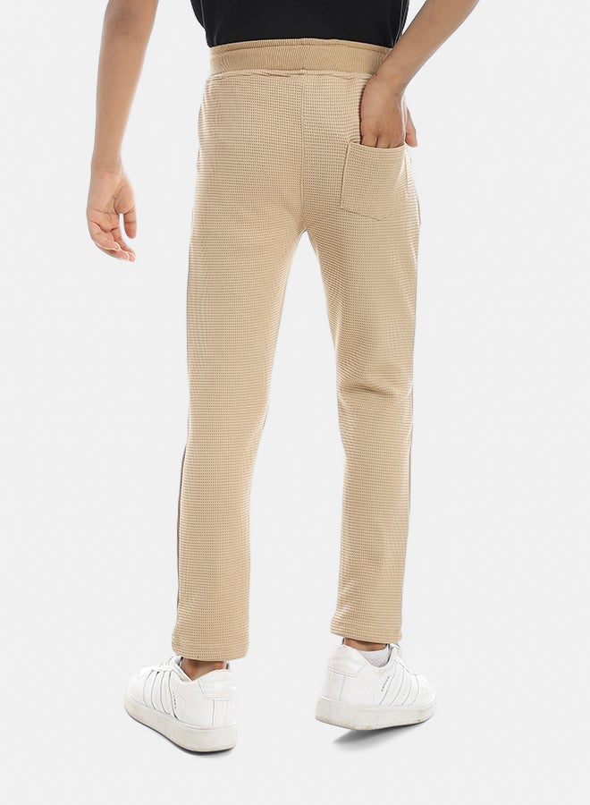 Andora Self Patterened Beige Elastic Waist Casual Pants-Beige - Image 5