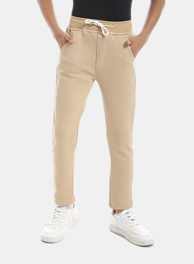 Andora Self Patterened Beige Elastic Waist Casual Pants-Beige - Image 1