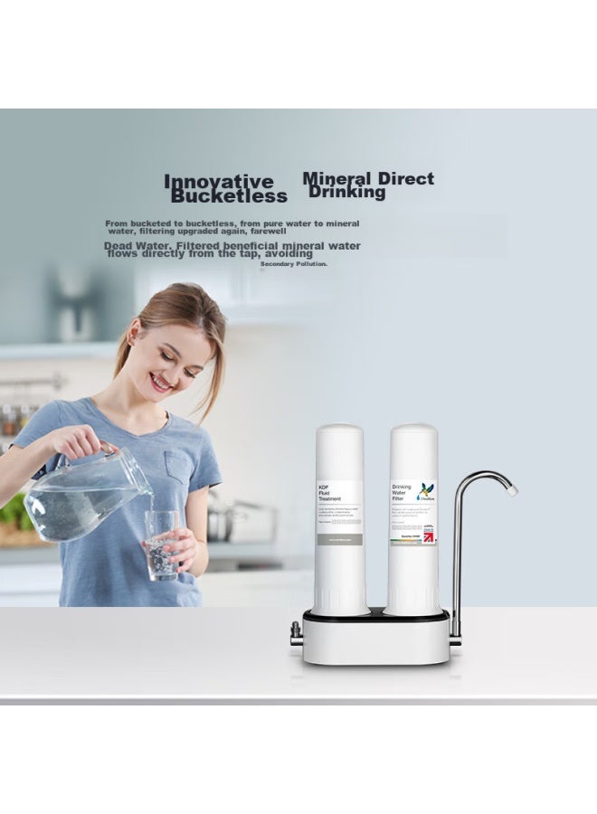 دولتون Doulton Water Purifier For Home Direct Drinking, مرشح مياه صنبور المطبخ, Diatomaceous Earth Ceramic Water Purification System, لا مياه صرف صحي, آلة مياه شرب قابلة للغسيل بالترشيح الفائق D-cp203 - Image 1