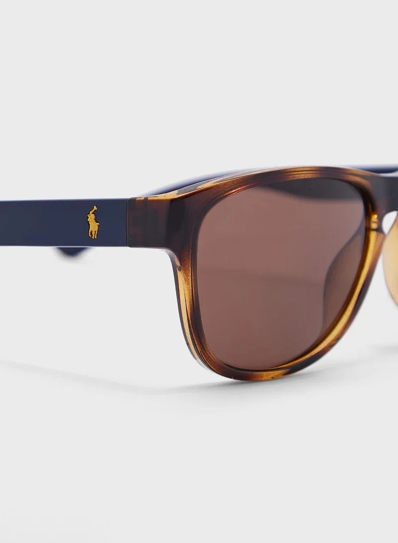 POLO RALPH LAUREN 0Ph4180U Square Sunglasses
