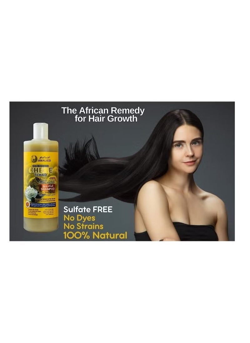 AMALICO - Chebe Shampoo for Hair Growth with SHEA BUTTER 500ml - Image 1