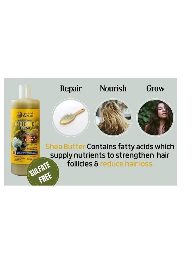 AMALICO - Chebe Shampoo for Hair Growth with SHEA BUTTER 500ml - Image 1