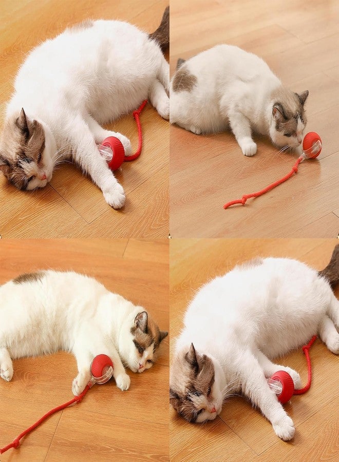 VENEXA Cat Dancing Ball | Pet Rolling Ball | Rolling Dog Ball | Cat Toys Ball for Indoor Cats Fast Rolling on Carpet, 360° Smart Automatic Rolling Pet Ball, Smart Self Rolling Ball for Dog and Cat - Image 2