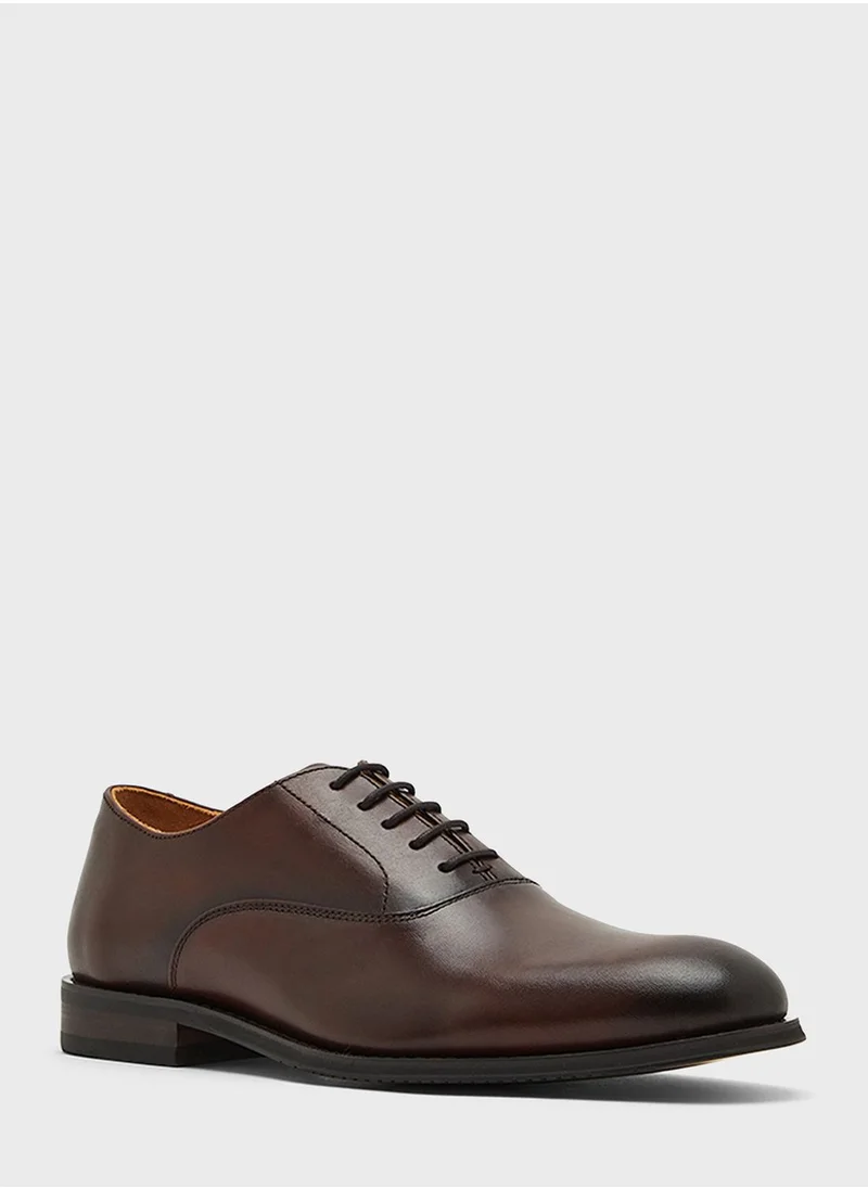 CCC Casual Lace Ups Shoes