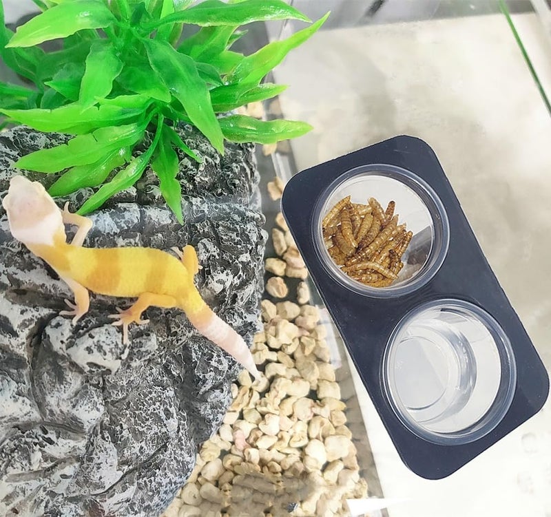 MRTIOO 100 Cups + Feeding Ledge [Non-Suction Cup], Reptile Amphibian Food Bowls and Water Dish for Crested Gecko, Lizard Or Other Small Pet Feeder Ledge Accessories Supplies - 0.5oz Cups 100 pcs - Image 3