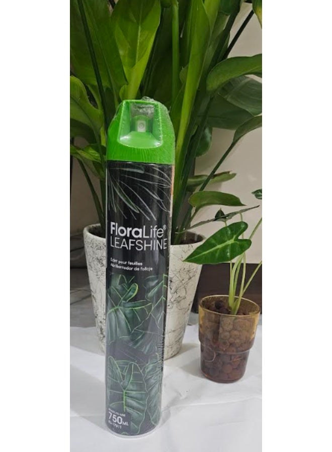 فلورالايف ملمع أوراق النباتات 750 مل، منظف وملمع لأوراق النباتات، أوراق لامعة للنباتات الداخلية - Image 1