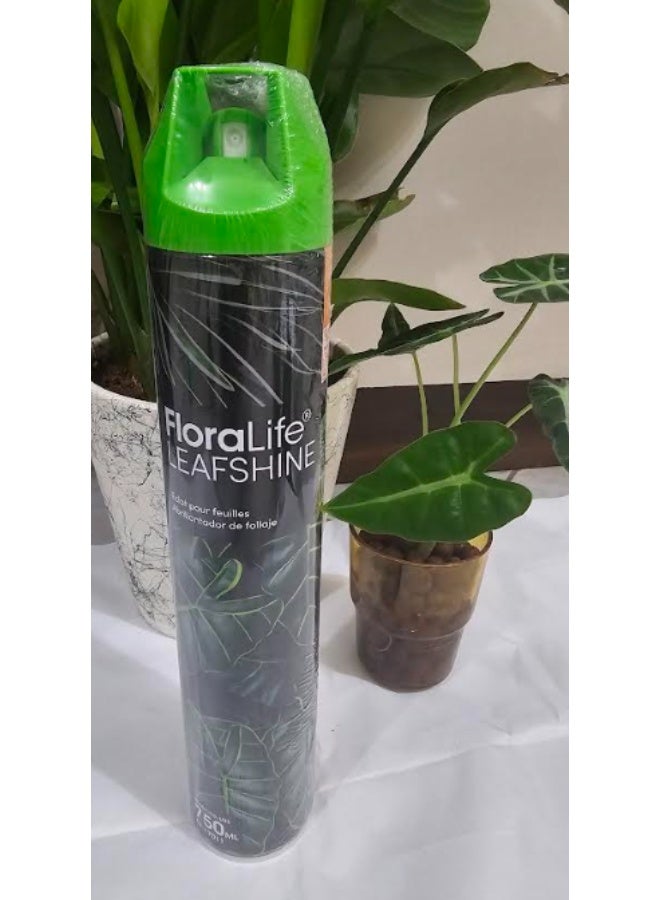 فلورالايف ملمع أوراق النباتات 750 مل، منظف وملمع لأوراق النباتات، أوراق لامعة للنباتات الداخلية - Image 2
