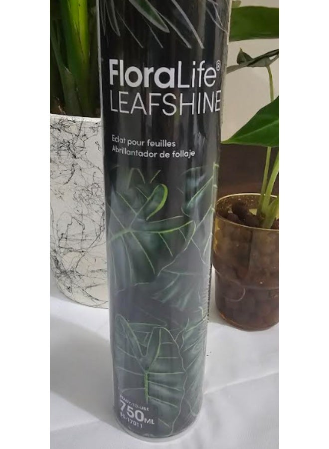 فلورالايف ملمع أوراق النباتات 750 مل، منظف وملمع لأوراق النباتات، أوراق لامعة للنباتات الداخلية - Image 3