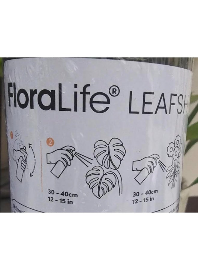 فلورالايف ملمع أوراق النباتات 750 مل، منظف وملمع لأوراق النباتات، أوراق لامعة للنباتات الداخلية - Image 4