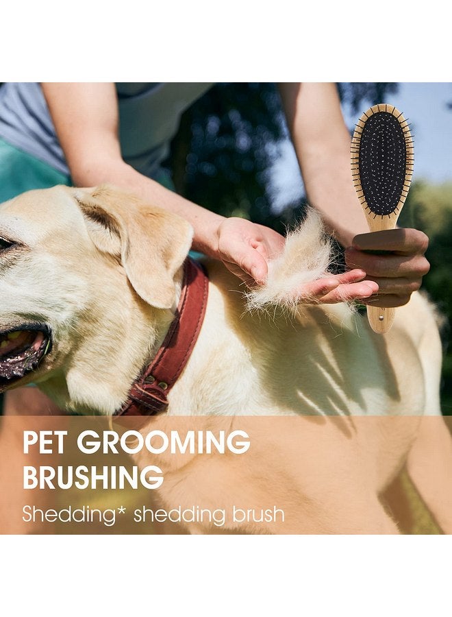 Molain Dog Grooming Brush - 20mm Stainless Steel Round Pins, Bamboo Handle, No Scratch Brush for All Hair Types (1Pc) - Image 2
