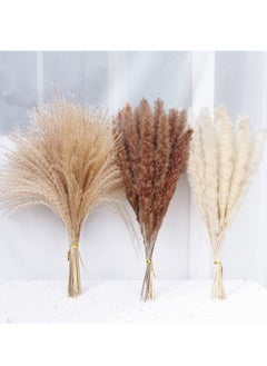 XiuWoo 80 Pieces Dried Pampas Grass Decor with 3 Colors  - Image 1