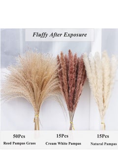 XiuWoo 80 Pieces Dried Pampas Grass Decor with 3 Colors  - Image 2
