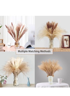 XiuWoo 80 Pieces Dried Pampas Grass Decor with 3 Colors  - Image 3