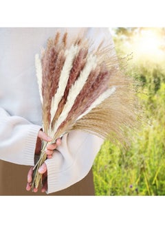 XiuWoo 80 Pieces Dried Pampas Grass Decor with 3 Colors  - Image 5