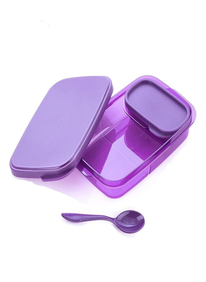 LAZYwindow Insulated Bottle and Airtight Lunch Box Combo, Leak-Proof, BPA-Free, Daily Use Meal Set - Image 3