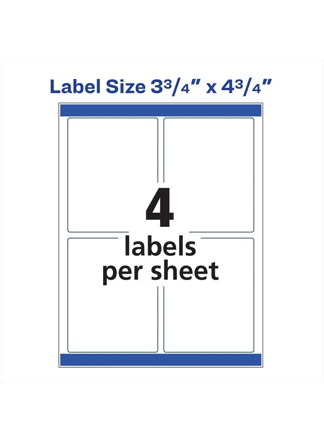 AVERY Avery Print-to-the-Edge Shipping Labels for Color Laser Printers and Copiers, 3.75 x 4.75 Inch, Pack of 100 (6878)  - Image 5