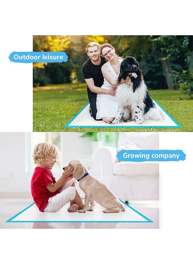 Generic 20Pcs Dog Pads Thicker Pet Training and Puppy Pads Super Absorbent Pee Pads for Dogs Leak Proof Dog Potty Training Pads for Puppies Cats Rabbits Pet Pee Pads  - Image 2