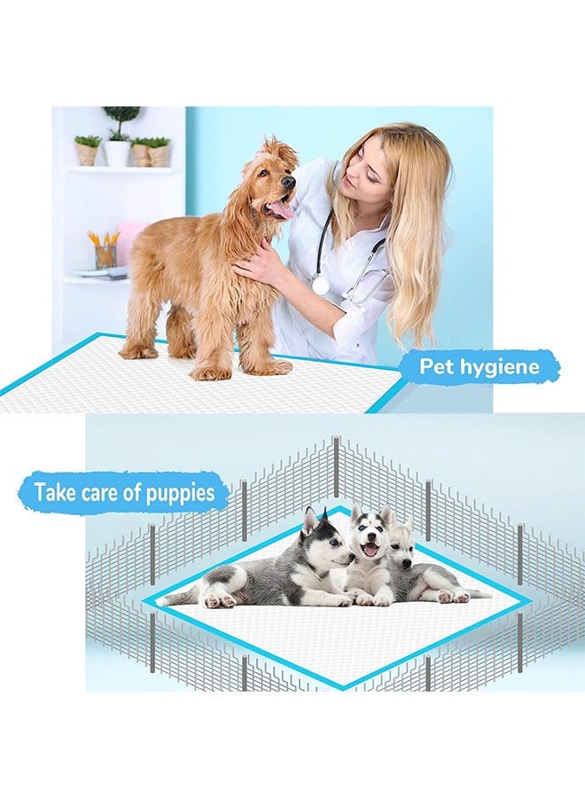 Generic 20Pcs Dog Pads Thicker Pet Training and Puppy Pads Super Absorbent Pee Pads for Dogs Leak Proof Dog Potty Training Pads for Puppies Cats Rabbits Pet Pee Pads  - Image 3