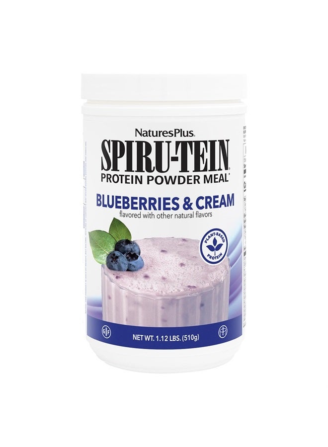 Natures Plus SPIRU-TEIN, Blueberries & Cream - 1.12 lb - Plant-Based Protein Powder - Vitamins & Minerals for Energy - Vegetarian, Gluten Free - 15 Servings - Image 1