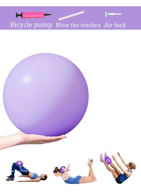 Pilates Ball 25cm Mini Ball Small Exercise Ball for Pilates, Yoga, Core Training, Physical Therapy, Balance, Stability, Stretching
