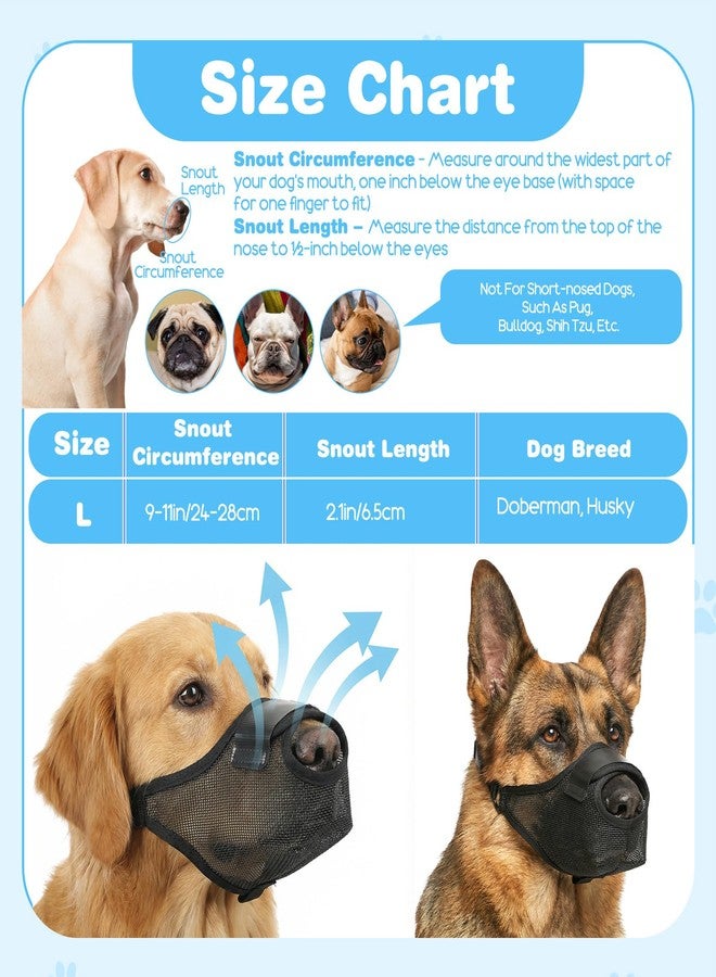 ValueBargain Dog Muzzle, Anti Scavenging Mesh Muzzle for Dogs, Breathable Soft Muzzles, Adjustable for Huskies and Dobermans, Allows Panting & Drinking - Image 3