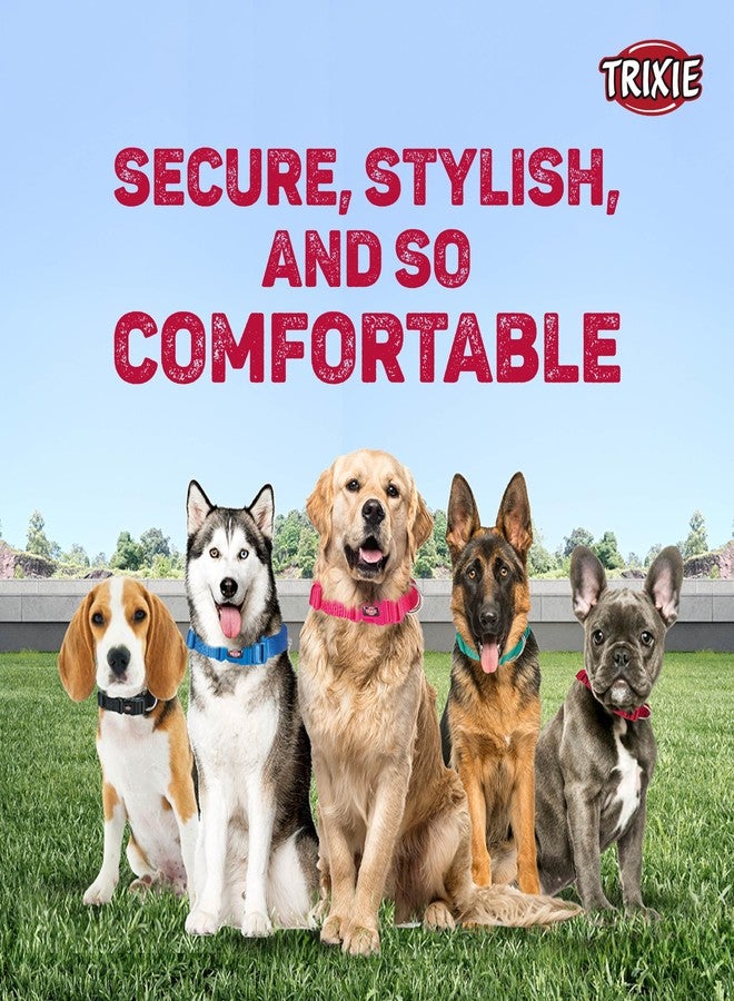Trixie Nylon Premium Dog Collar Belt, Stylish Design, Adjustable Webbing Tape, Strain Relief, with Leash Connector, Neck Collar for Dogs, 35-55 Cm (M-L, Red) - Image 4