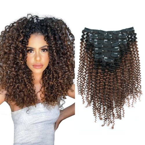 Sassina Ombre Kinky Curly Clip in Human Hair Extensions for African American Black Women Double Wefts 3C 4A Afro Kinky Curly Clip in 7Pcs120G Ombre Natural Black Chocolate Brown TN4 14Inch