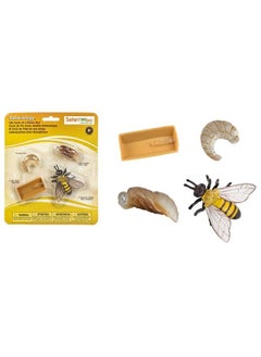 Safari Safari Ltd Safariology The Life Cycle Of A Honey Bee  - Image 2