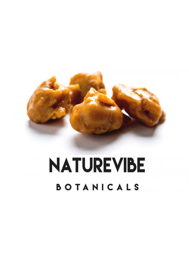 Naturevibe Botanicals - Naturevibe Botanicals Asafetida Powder 100gm (Hing, Asafoetida Ground) 3.53oz | Non-GMO and Gluten Free | Indian Seasoning | Adds Aroma and Flavor - Image 1
