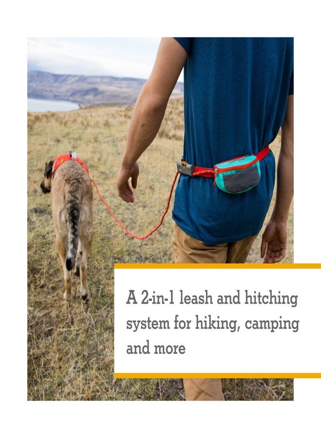 Ruffwear, Hitch Hiker Dog Leash, Adjustable Leash & Hitching System for Camping & Hiking, Red Currant - Image 2
