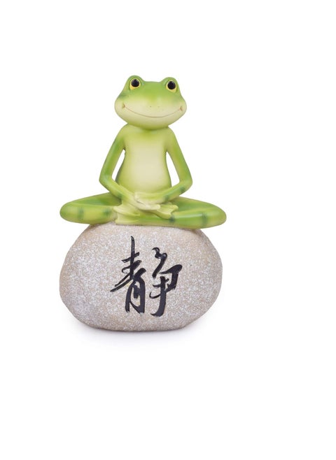 Wonderland Plastic Feng Shui (7 x 5 x 10.4 inch, Multicolour)