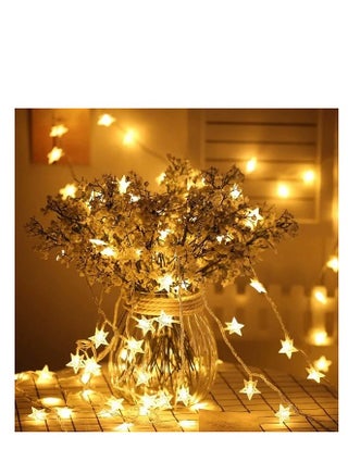 Warm White LED Fairy String Lights 3M 20 Stars