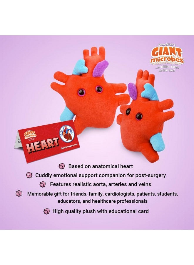Giant Microbes GIANTmicrobes Heart Plush, Heart Stuffed Animal, Heart Transplant Gifts, Heart Toy, Anatomical Heart Gifts, Cardiologist Gifts, Cardiology Gifts, Open Heart Surgery Gifts, Heart Attack Survivor Gifts - Image 3