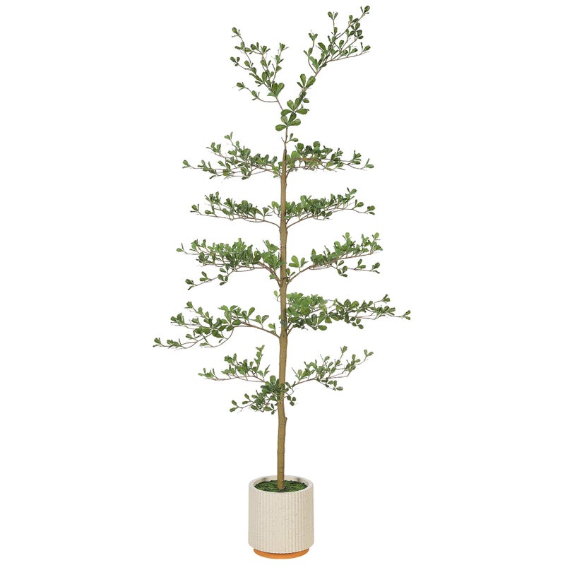 FEELEAD Faux Black Olive Tree 6ft - Realistic Artificial Shady Lady Tree 6 Feet with Pot Indoor Fake Black Olive Trees with Natural Branches and Realistic Leaves for Home Office Living Room Decor - Image 1