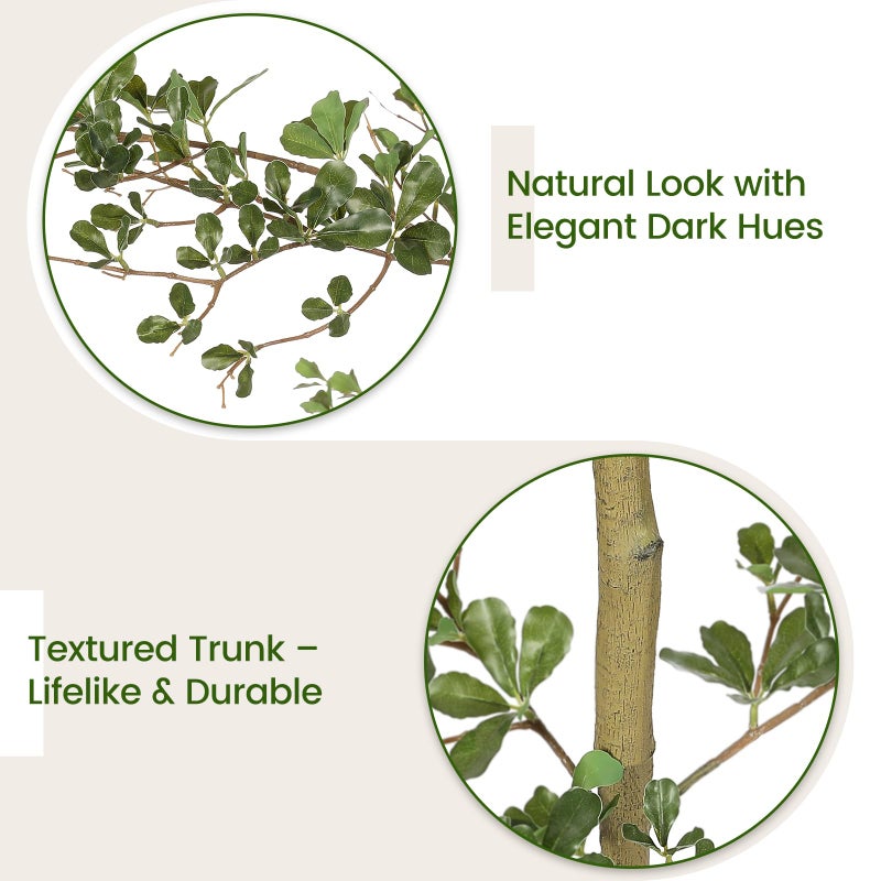 FEELEAD Faux Black Olive Tree 6ft - Realistic Artificial Shady Lady Tree 6 Feet with Pot Indoor Fake Black Olive Trees with Natural Branches and Realistic Leaves for Home Office Living Room Decor - Image 2