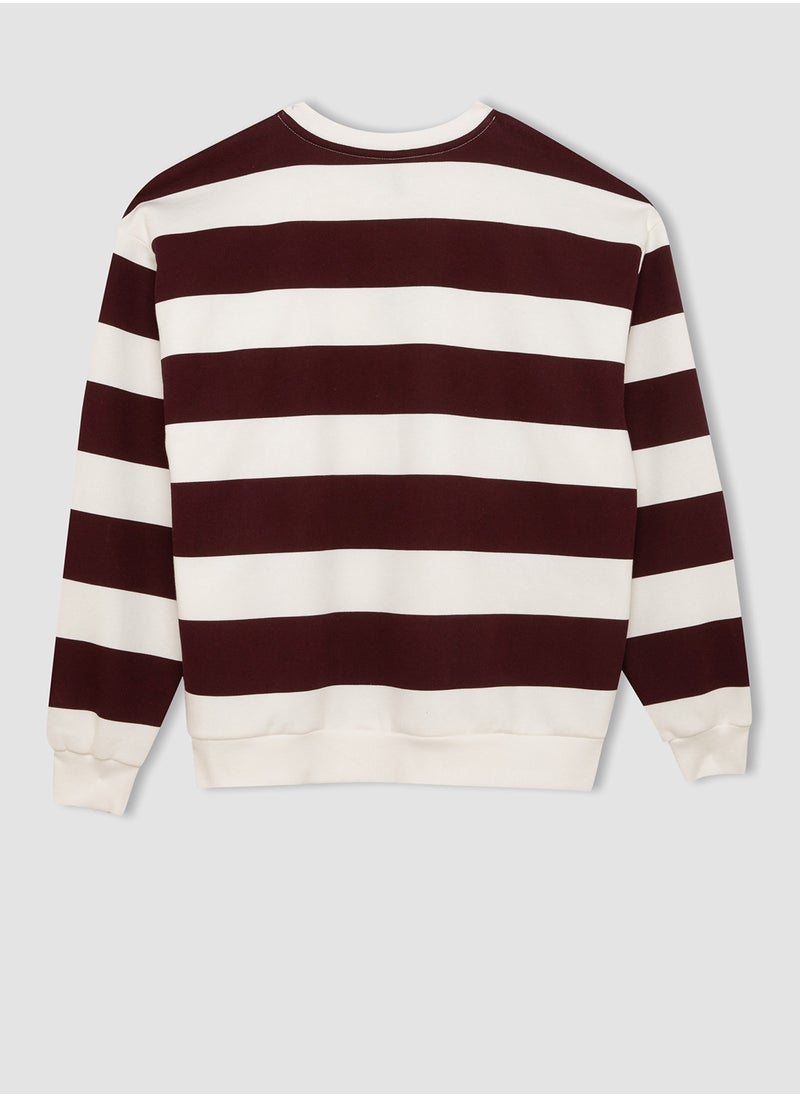 DeFacto - Relax Fit Striped Thick Casual Sweatshirt - Image 1