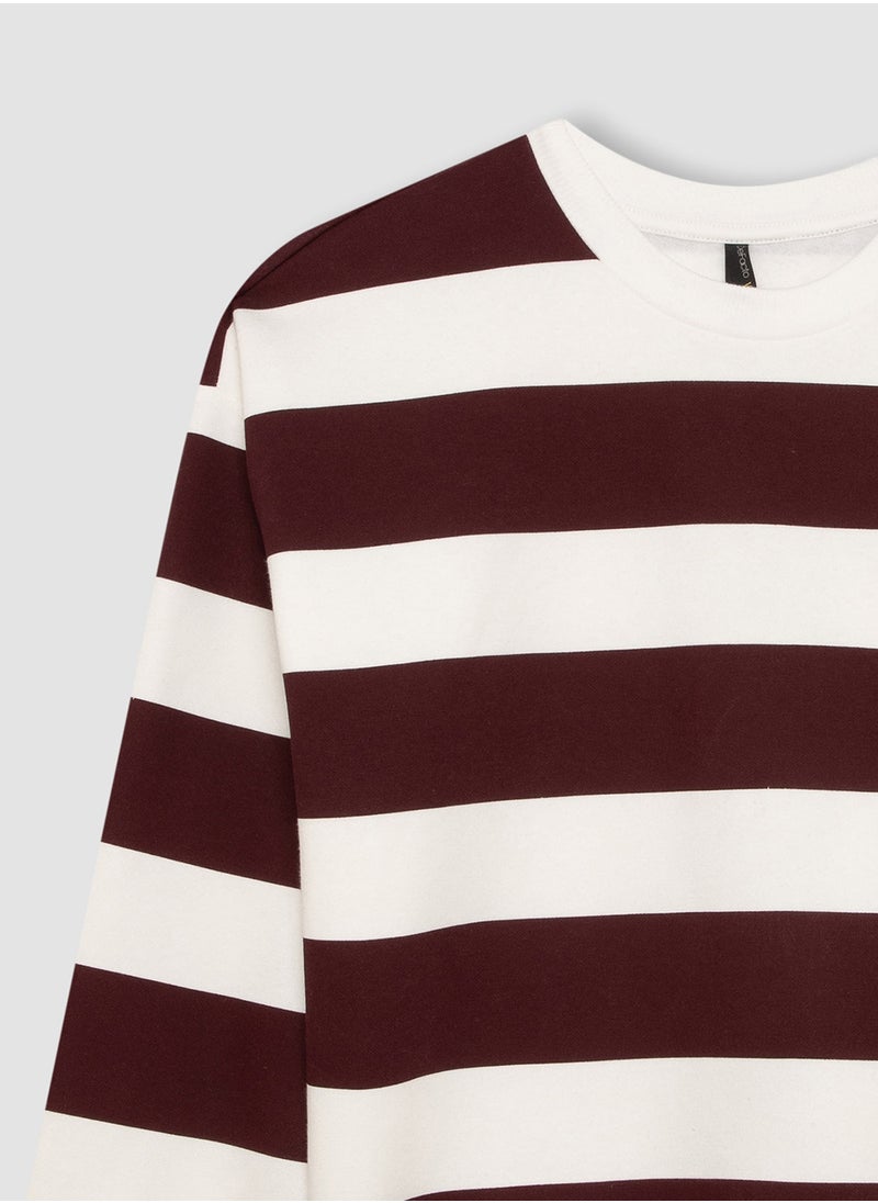 DeFacto - Relax Fit Striped Thick Casual Sweatshirt - Image 1
