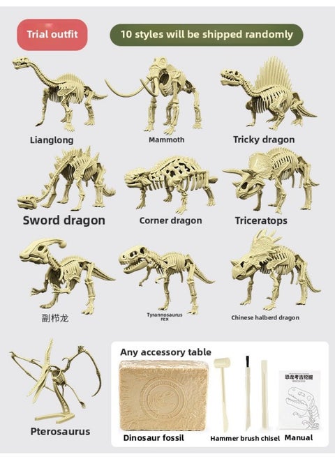 Archaeological Toys Knocking Digging Gems Egg Treasure Hunting Blind Box Dinosaur Fossils Children's Handmade DIY Archaeological Digging Toys-Color:Archaeological Dinosaur Digging Blind Box [ten Random Delivery]-Specifications:See Description For Details