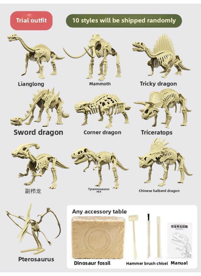 null - Archaeological Toys Knocking Digging Gems Egg Treasure Hunting Blind Box Dinosaur Fossils Children's Handmade DIY Archaeological Digging Toys-Color:Archaeological Dinosaur Digging Blind Box [ten Random Delivery]-Specifications:See Description For Details - Image 1