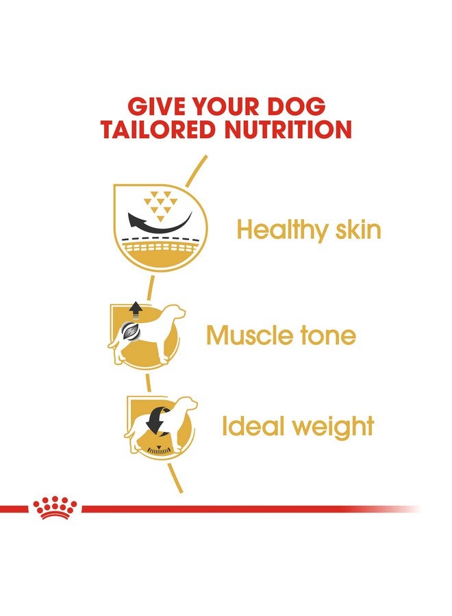 ROYAL CANIN Pug Adult Dry Dog Food, Meat Flavor, 3 Kg - Image 4