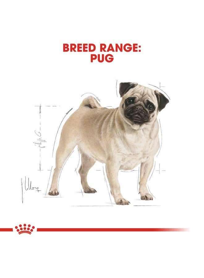 ROYAL CANIN Pug Adult Dry Dog Food, Meat Flavor, 3 Kg - Image 3